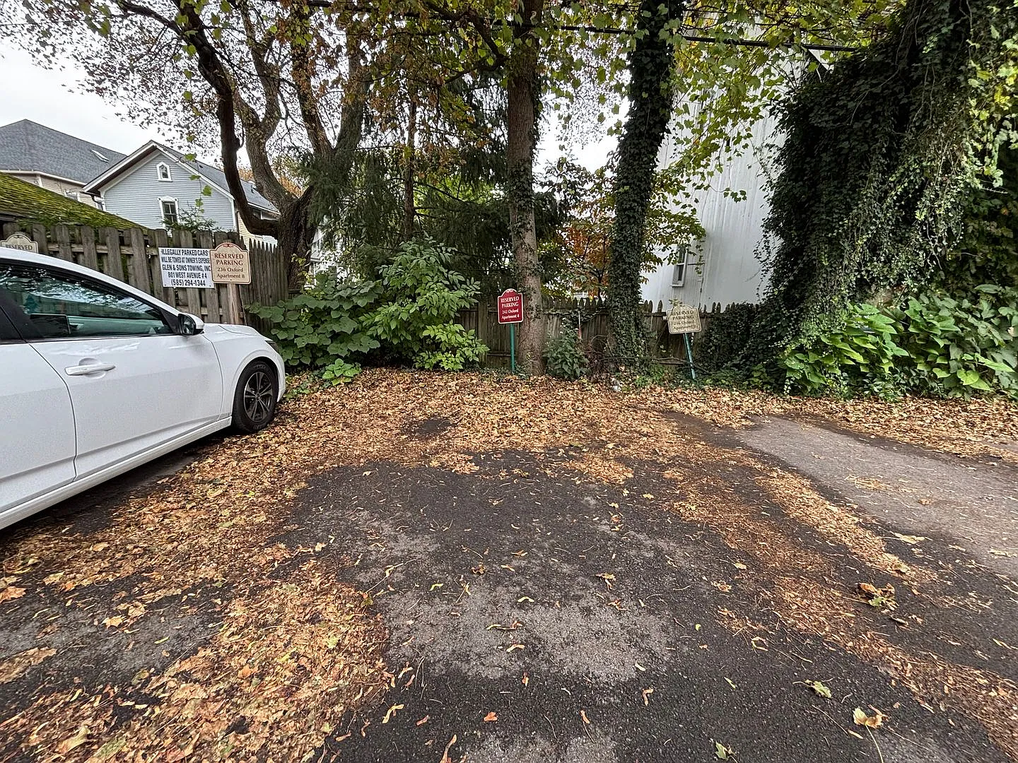 242 Oxford Street — Photo 3