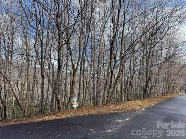 9999 Rainbow Falls Trl, Black Mountain, NC 28711