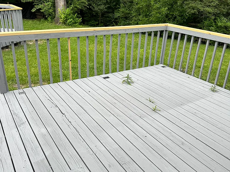 2248 Reliance Dr — Photo 14