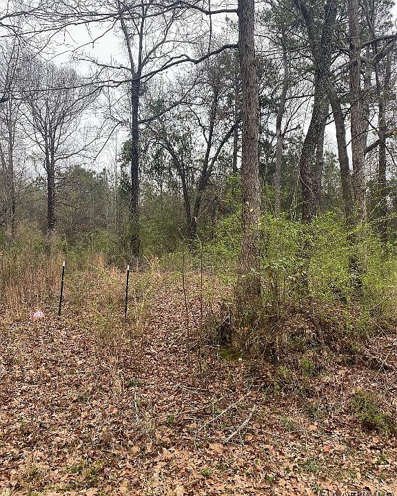 2nd image of 902 Obed Loop