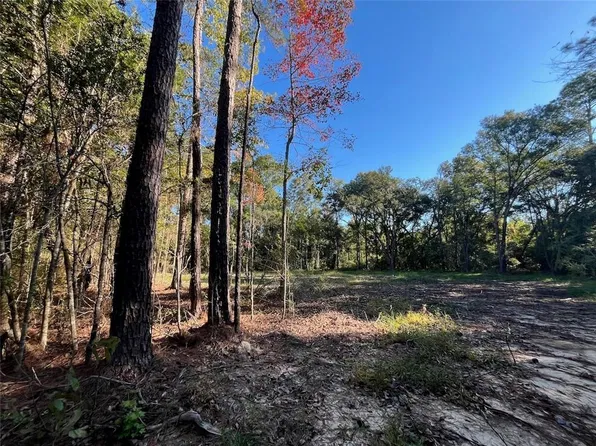 62156 Vista Rd, Lacombe, LA 70445