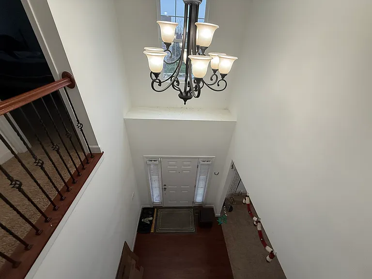 4143 Freesia Dr — Photo 8