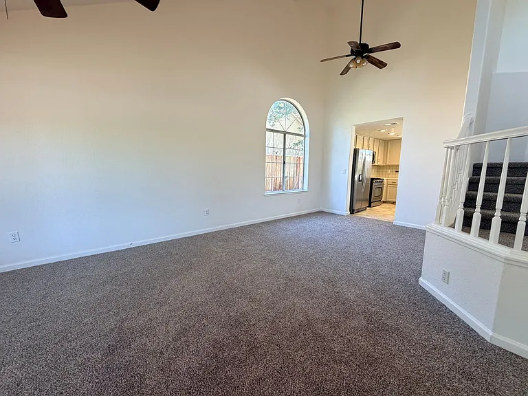 937 Neal St — Photo 5