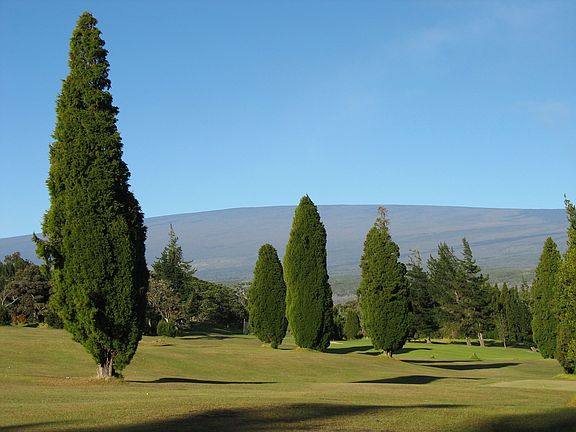 The golf course is just down the street.