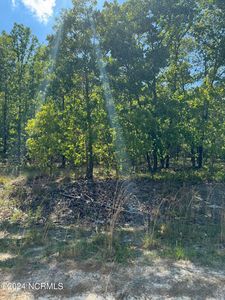 Tbd Meadow Lane, Hamlet, NC, 28345