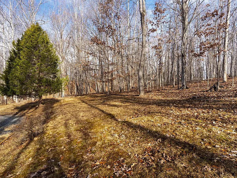 102 Forest Oaks Dr — Photo 38