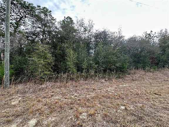 5th image of 7891 N DARBY DRIVE LOT 9