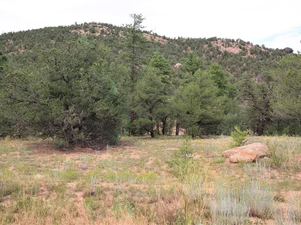 695 Tumbleweed Rd, Cotopaxi, CO 81223