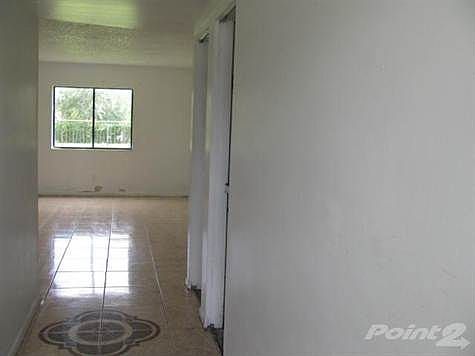 2nd image of 5065 Palm Hill Dr APT 320