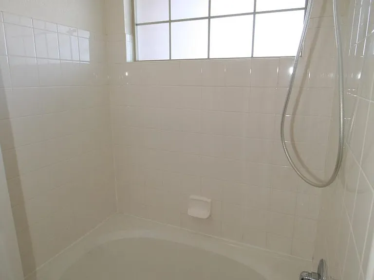 Master Tub / Shower