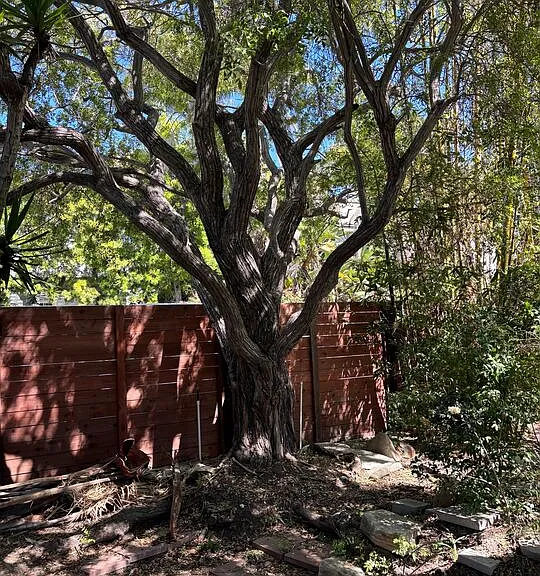 688 Mildred Ave — Photo 13