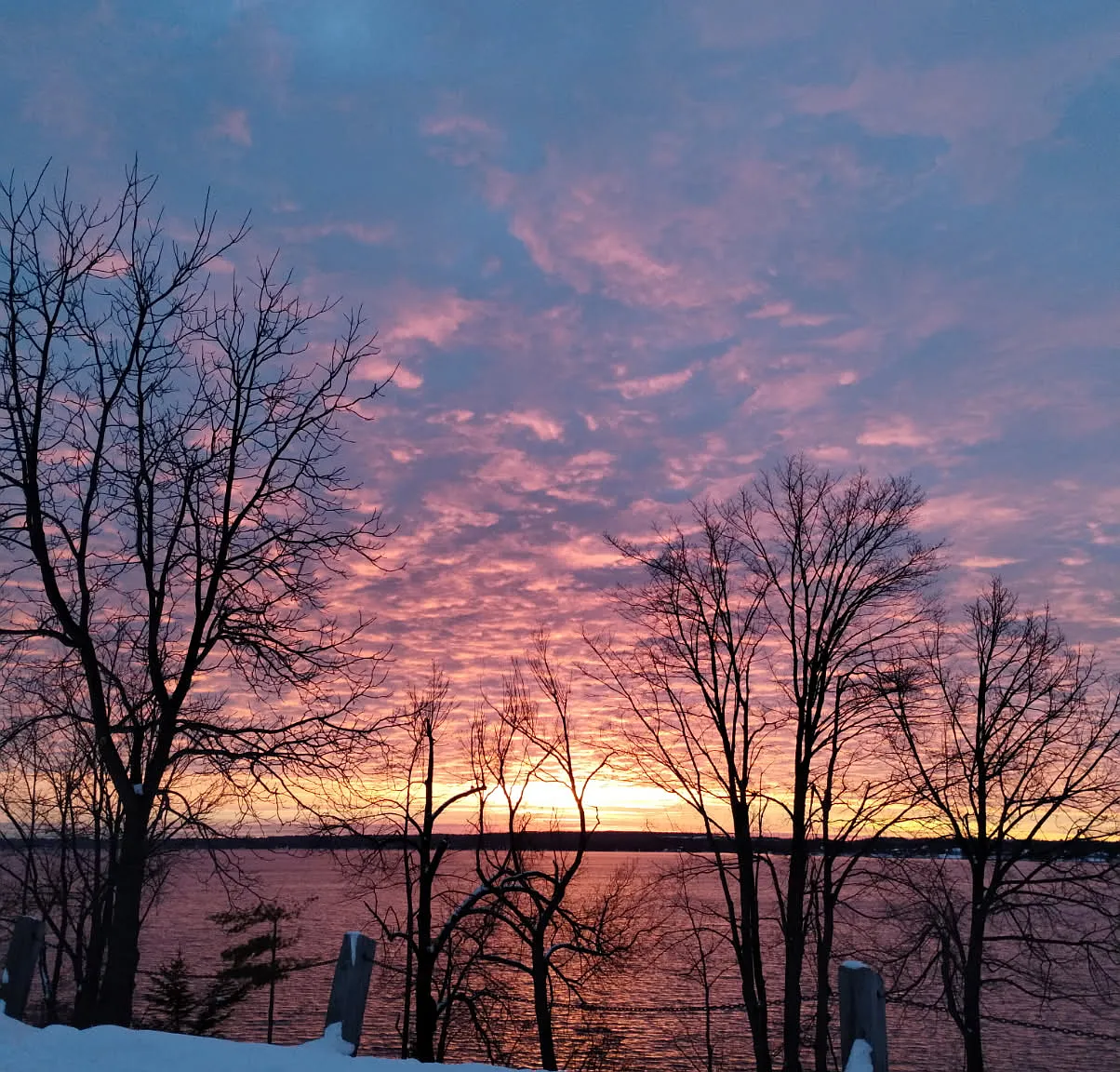 Kempenfelt Lakeside — Photo 3