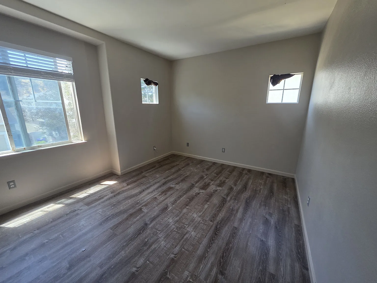 804 Edward Werth Dr — Photo 4