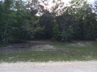 9211 Split Stone Dr, Webster, FL 33597