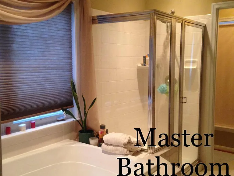 Master Bathroom Soak Tub & Shower