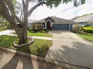 1124 Lumsden Pointe Blvd, Valrico, FL 33594