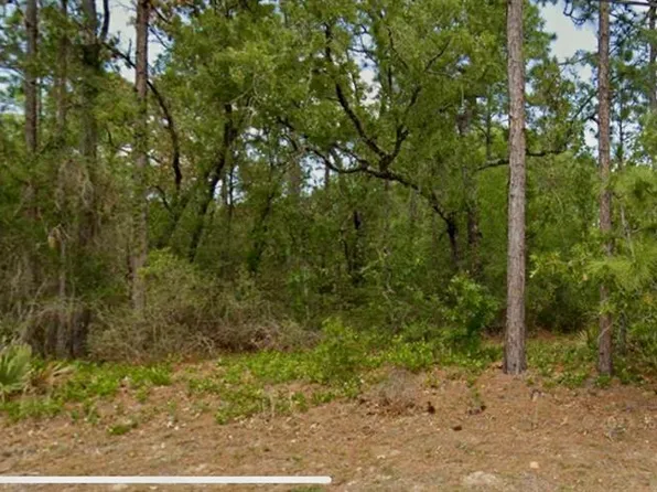 8550 N Citrus Springs Blvd Lot 7, Dunnellon, FL 34433