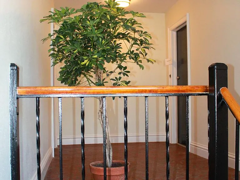 948 Harrington Ave — Photo 4