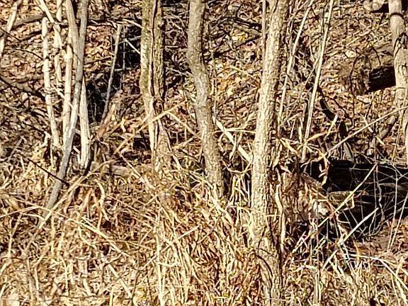 2nd image of 2 Kistler Rd