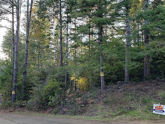 Driveway from Wildwood Dr.