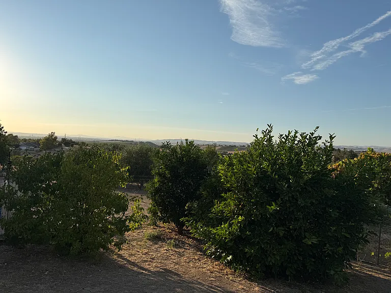 8389 Plane View Pl — Photo 8