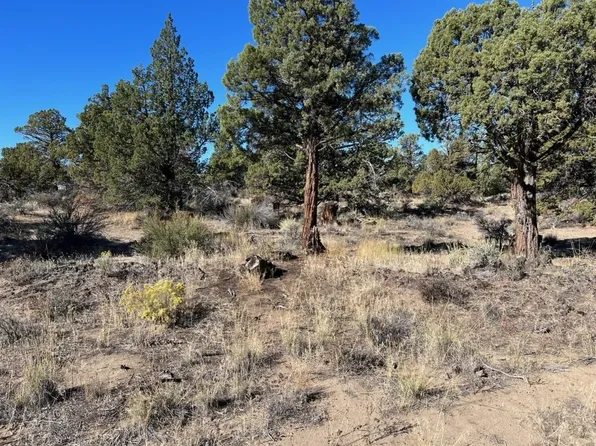 LOT 7 Buck Horn Rd, Montague, CA 96064