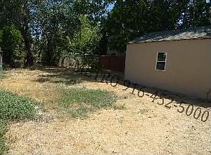 Large back yard