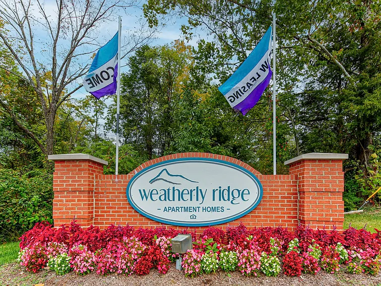 Weatherly Ridge — Photo 40
