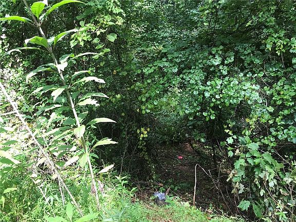 3rd image of 4016 Hidden Hollow Dr