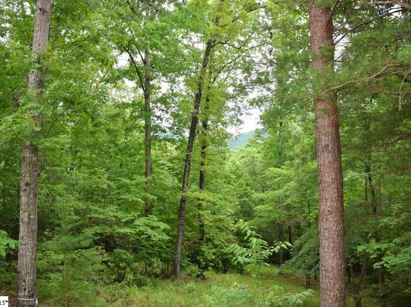 4 Elm Bend Trl, Travelers Rest, SC 29690