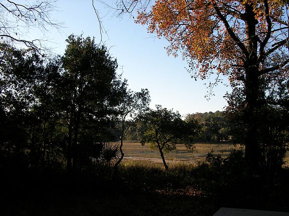 Sunrise view of marsh.