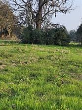 3rd image of 267/254 Shetland Ct Lot 14-15