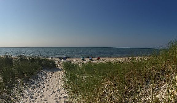 our "backyard"