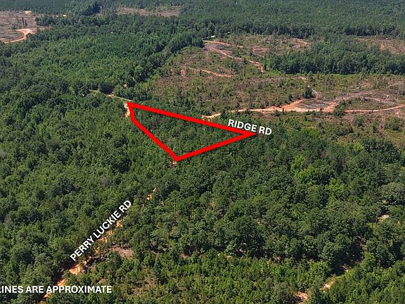 2nd image of 0 Ridge Rd Parcel C