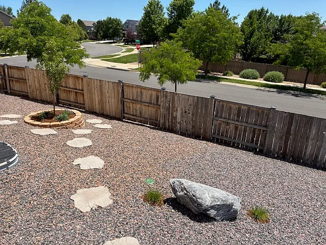 Back Yard 1
