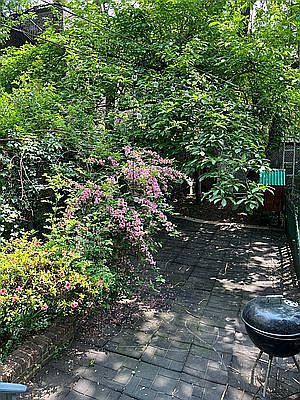 Building Photo 3