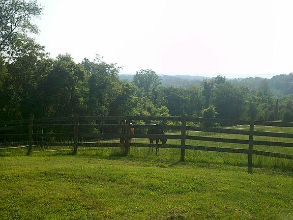 Spring backyard view