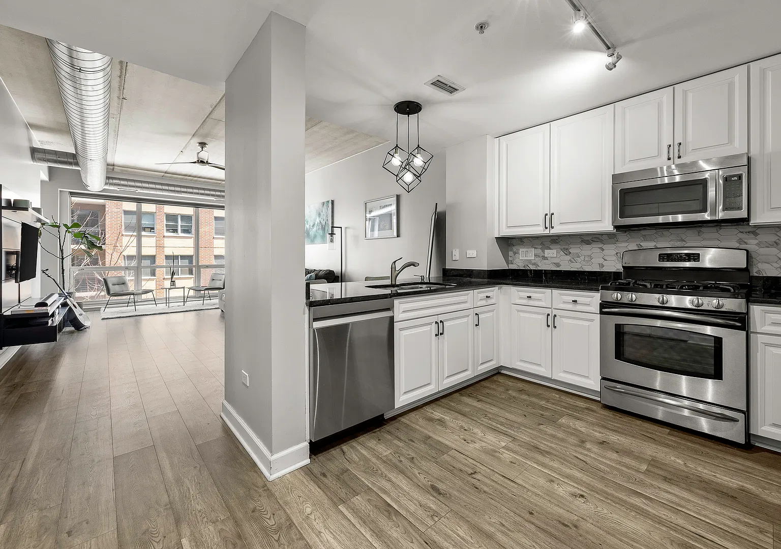 1 bed, 907 sqft, $3,100 — Photo 2