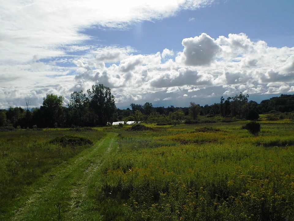 Trail in from Jordan Rd