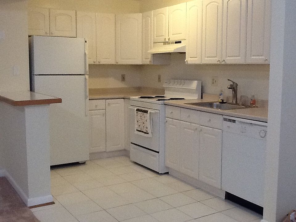 Kitchen: Electric Range, Dishwasher, Refrigerator