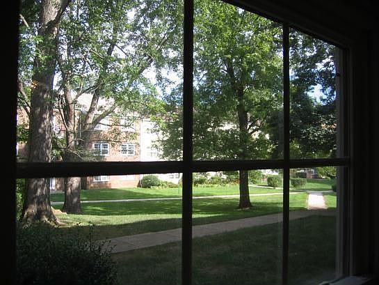 Courtyard View