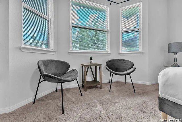 11675 Folsom Pass — Photo 35