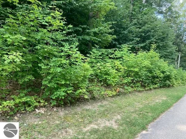 LOT 275 Robinson Rdg, Bellaire, MI 49615