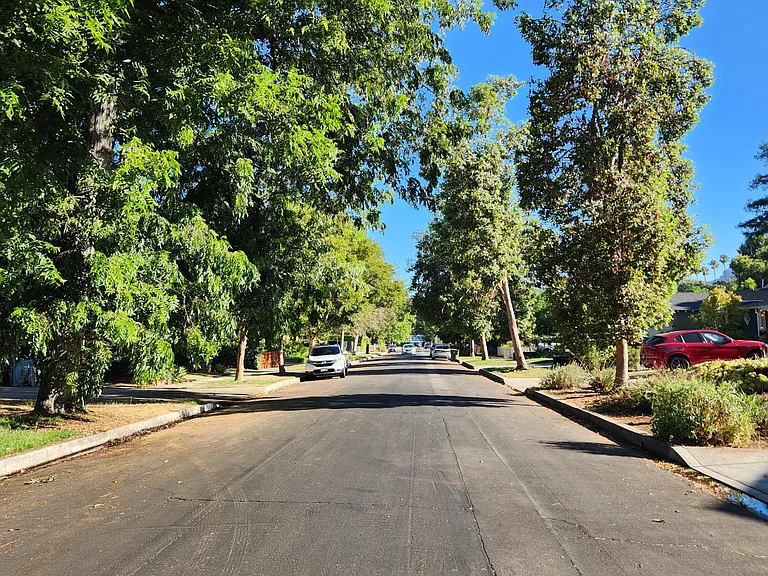 Beautiful tree lined street with plenty of parking in front of property