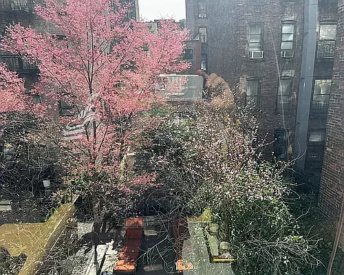 Rented by Compass | media 3