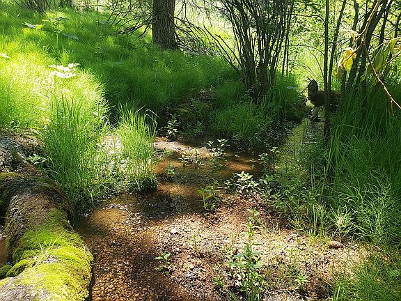 3rd image of 1231 County Road 782