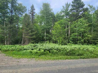 Xxx Irish Creek Rd, Hovland, MN, 55606