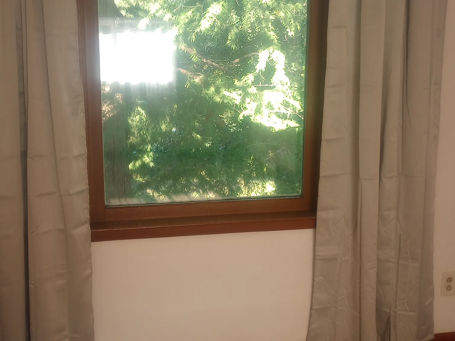1 bed, 800 sqft, $750 — Photo 1