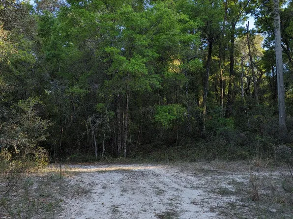 161 PEACH ORCHARD Road, Pomona Park, FL 32181