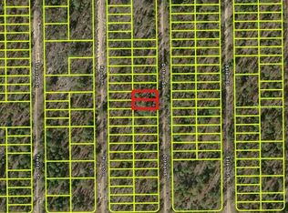 427 Dothan St LOT 18, Interlachen, FL 32148